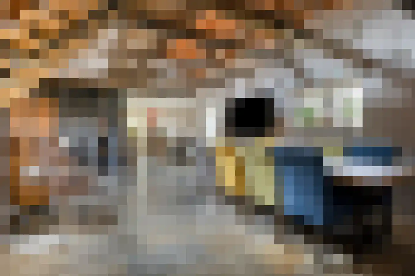 Nieuwstraat 22 Gameren thumbnail 23
