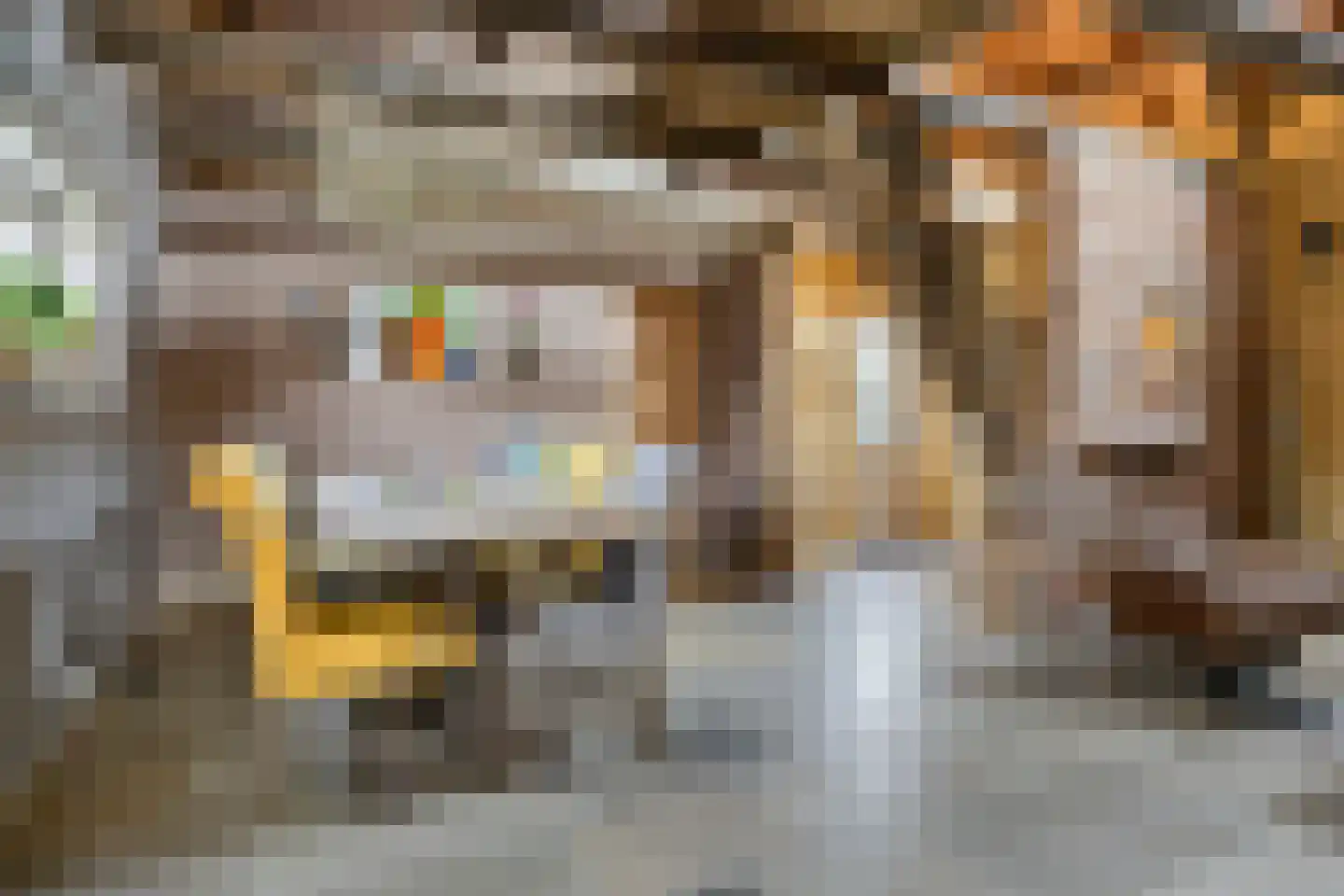 Nieuwstraat 22 Gameren thumbnail 26