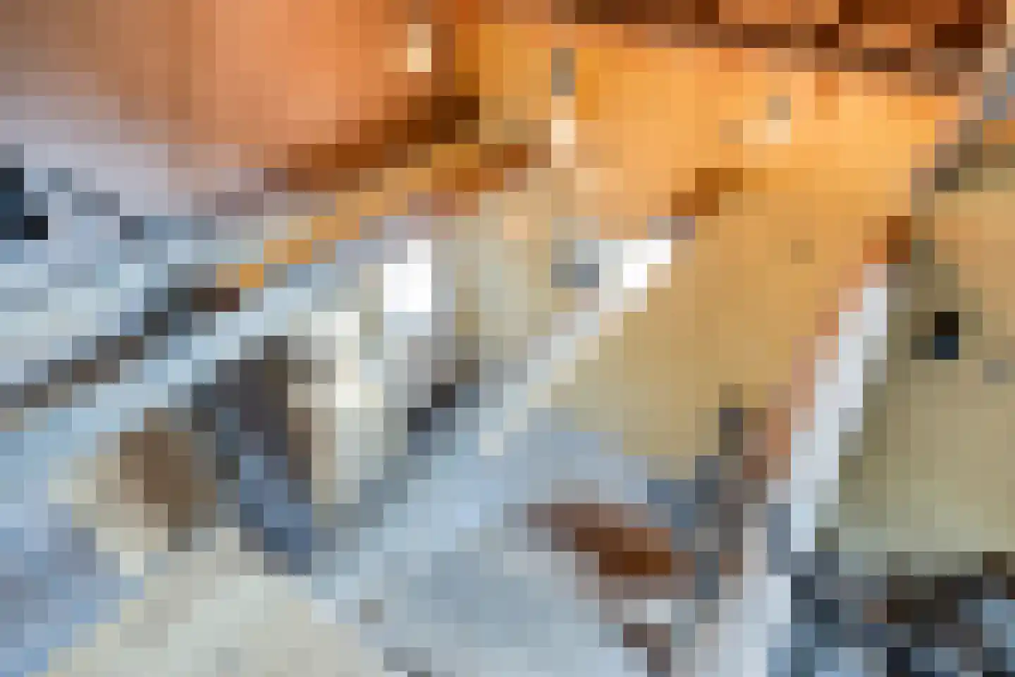 Nieuwstraat 22 Gameren thumbnail 42
