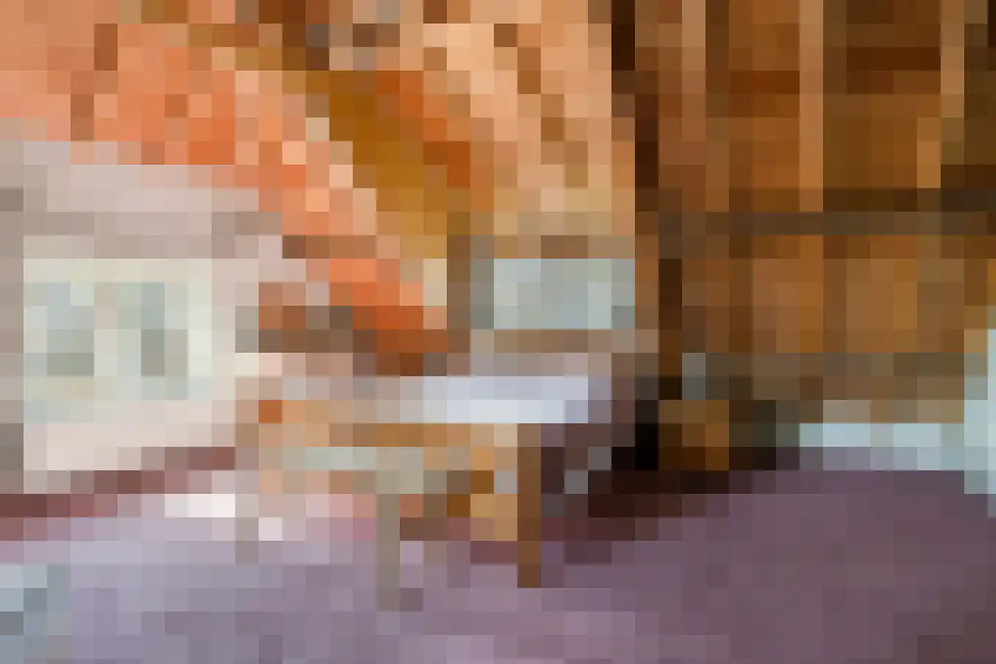 Nieuwstraat 22 Gameren thumbnail 46