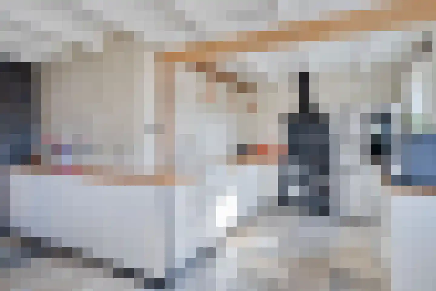 Nieuwstraat 22 Gameren thumbnail 5