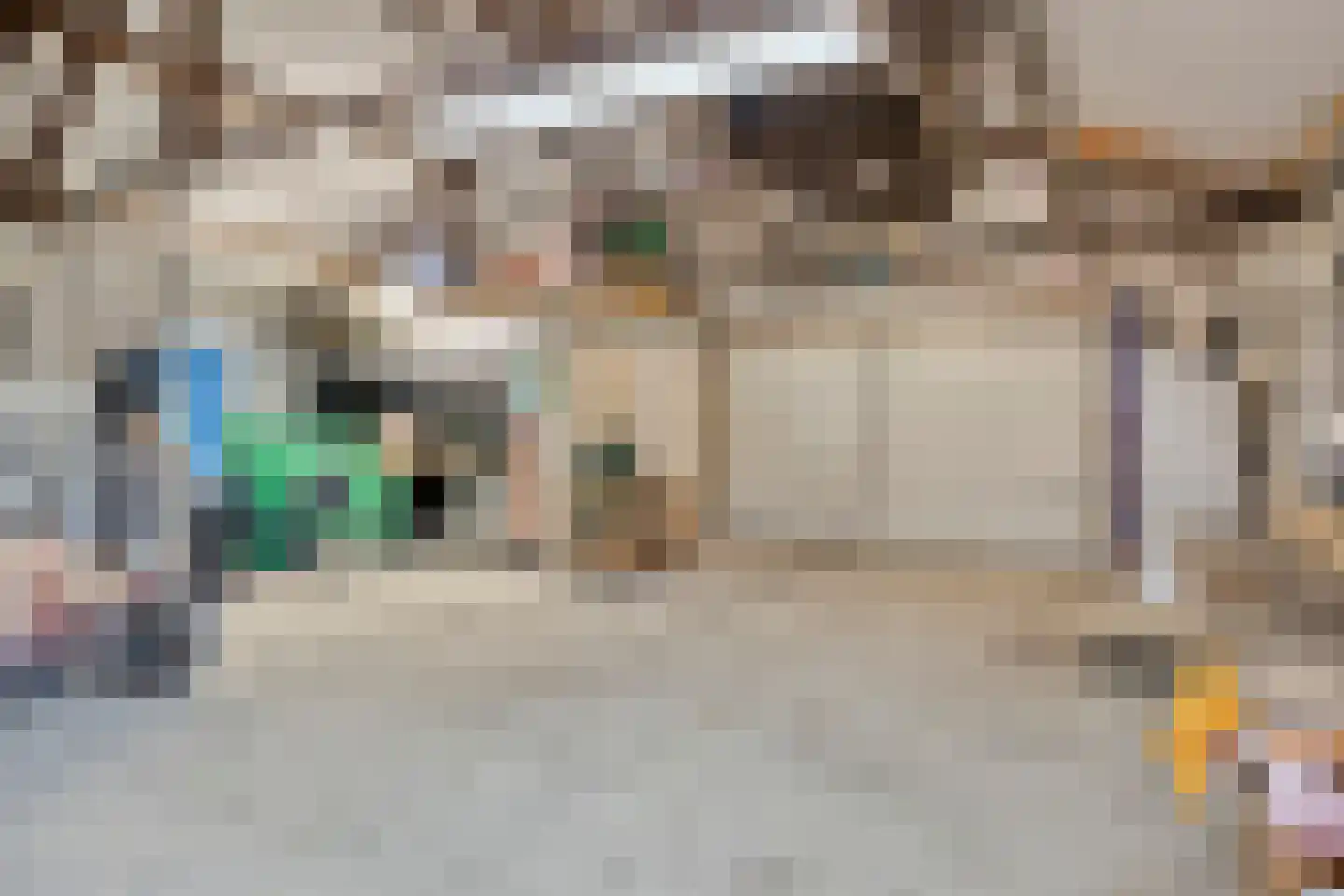 Nieuwstraat 22 Gameren thumbnail 50