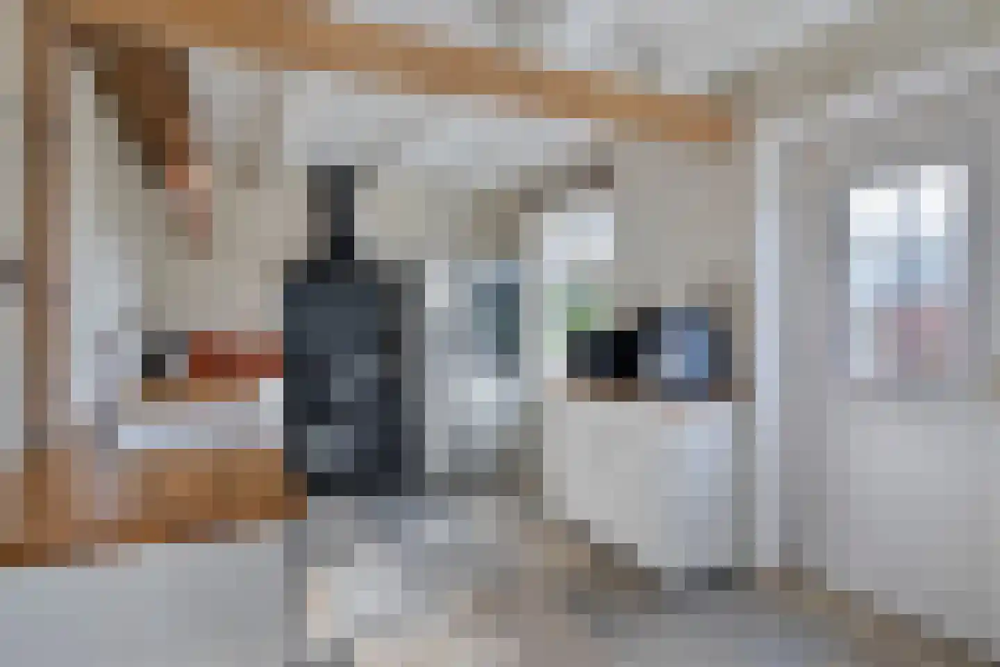 Nieuwstraat 22 Gameren thumbnail 6