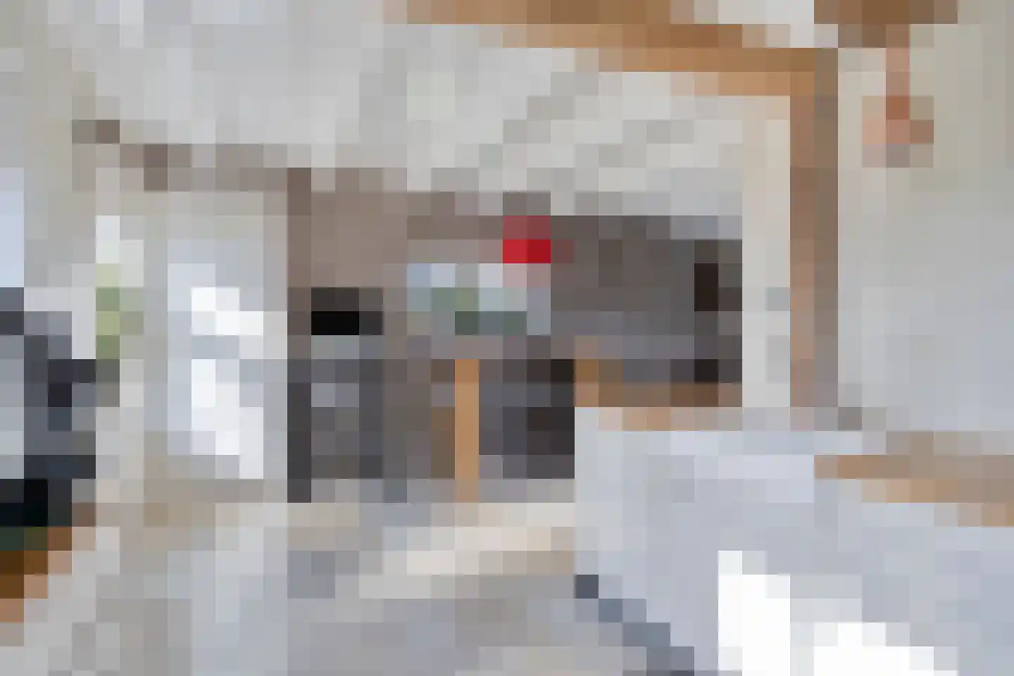 Nieuwstraat 22 Gameren thumbnail 9