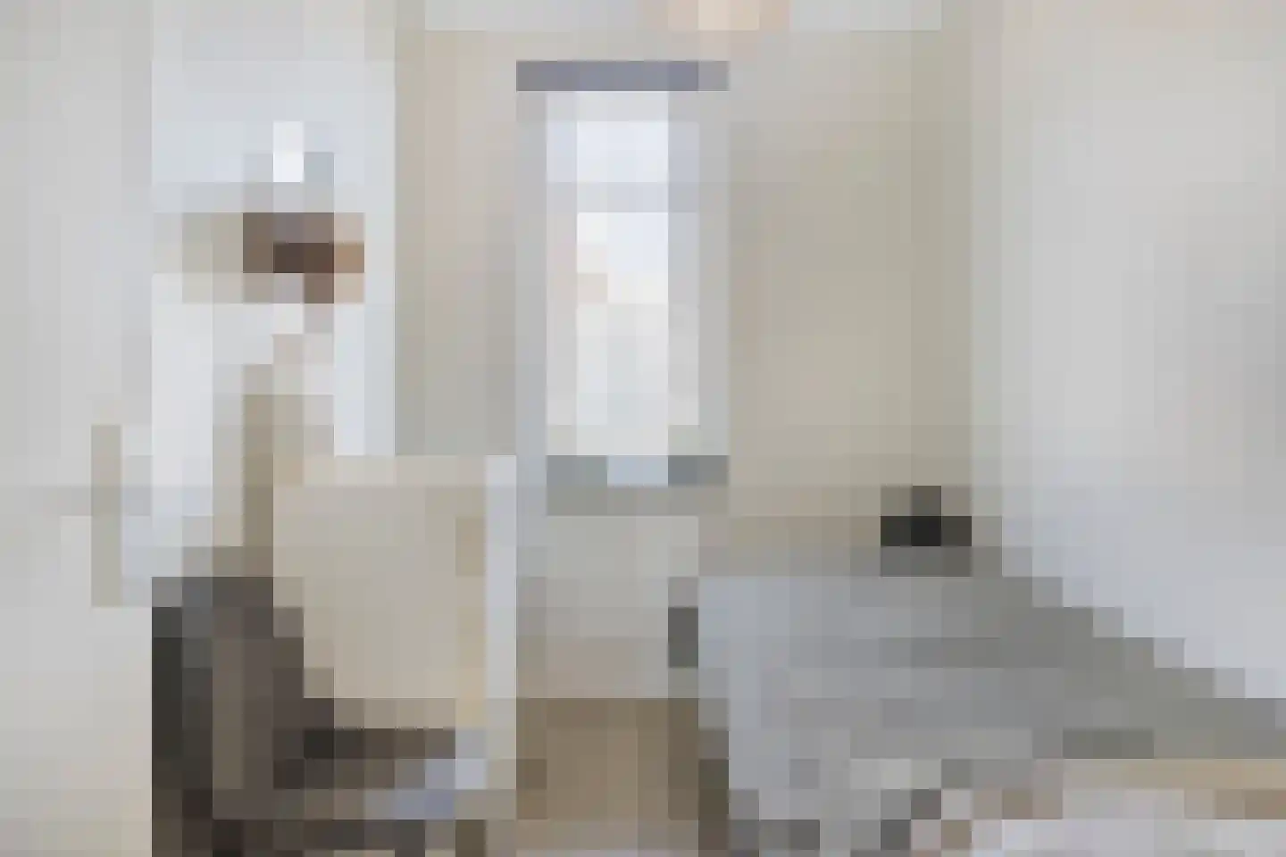Nieuwstraat 22 Oldenzaal thumbnail 11