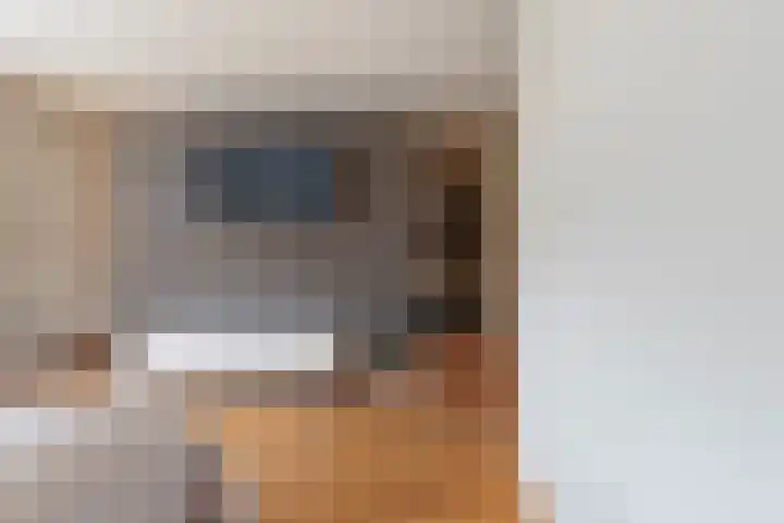 Nieuwstraat 22 Sint-Michielsgestel thumbnail 36