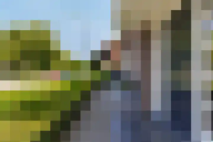 Nieuwstraat 22 Sint-Michielsgestel thumbnail 7