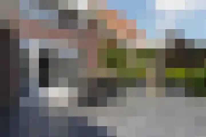 Nieuwstraat 22 Sint-Michielsgestel thumbnail 79
