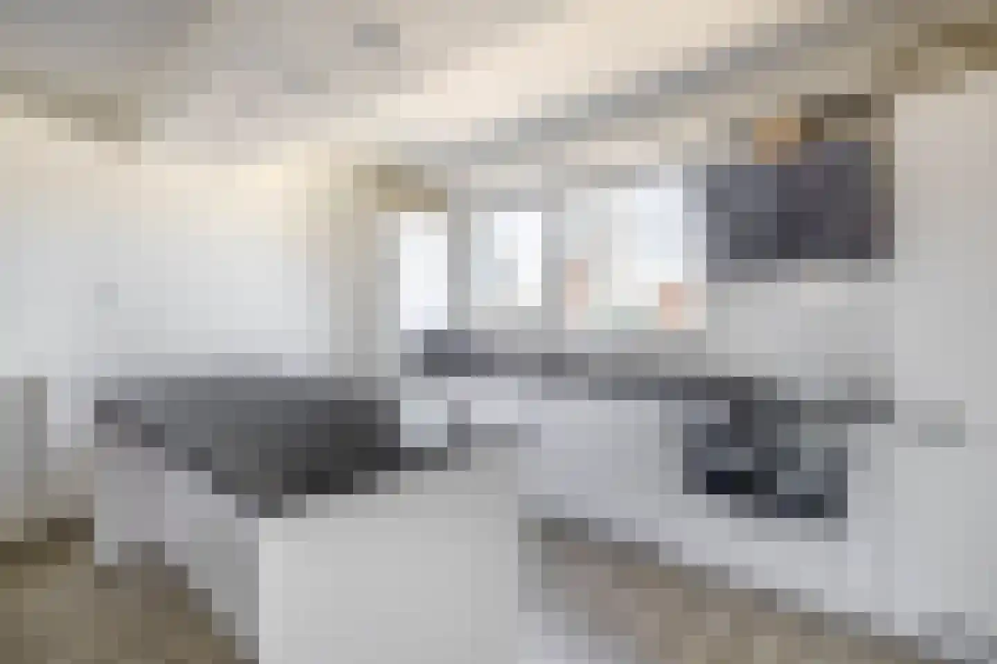 Nieuwstraat 226 Rotterdam thumbnail 16