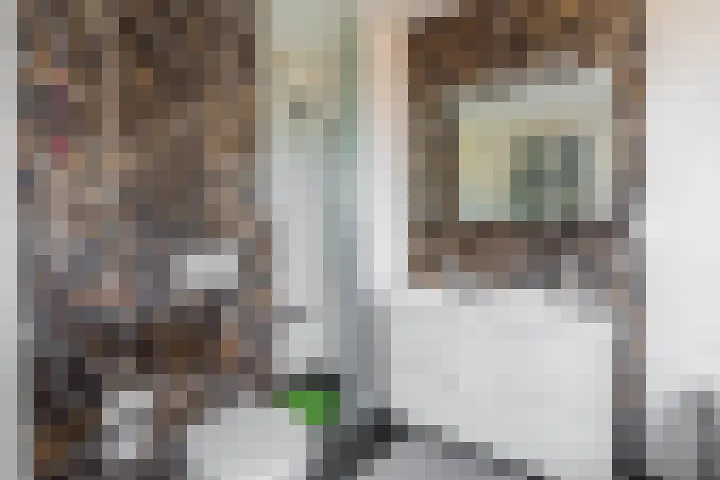 Nieuwstraat 226 Rotterdam thumbnail 27