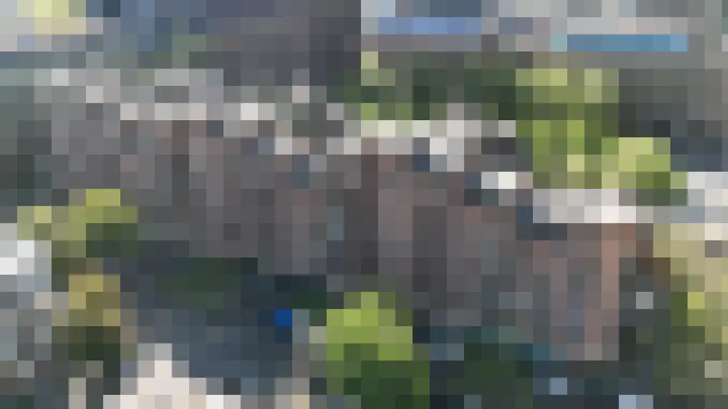 Nieuwstraat 226 Rotterdam thumbnail 39