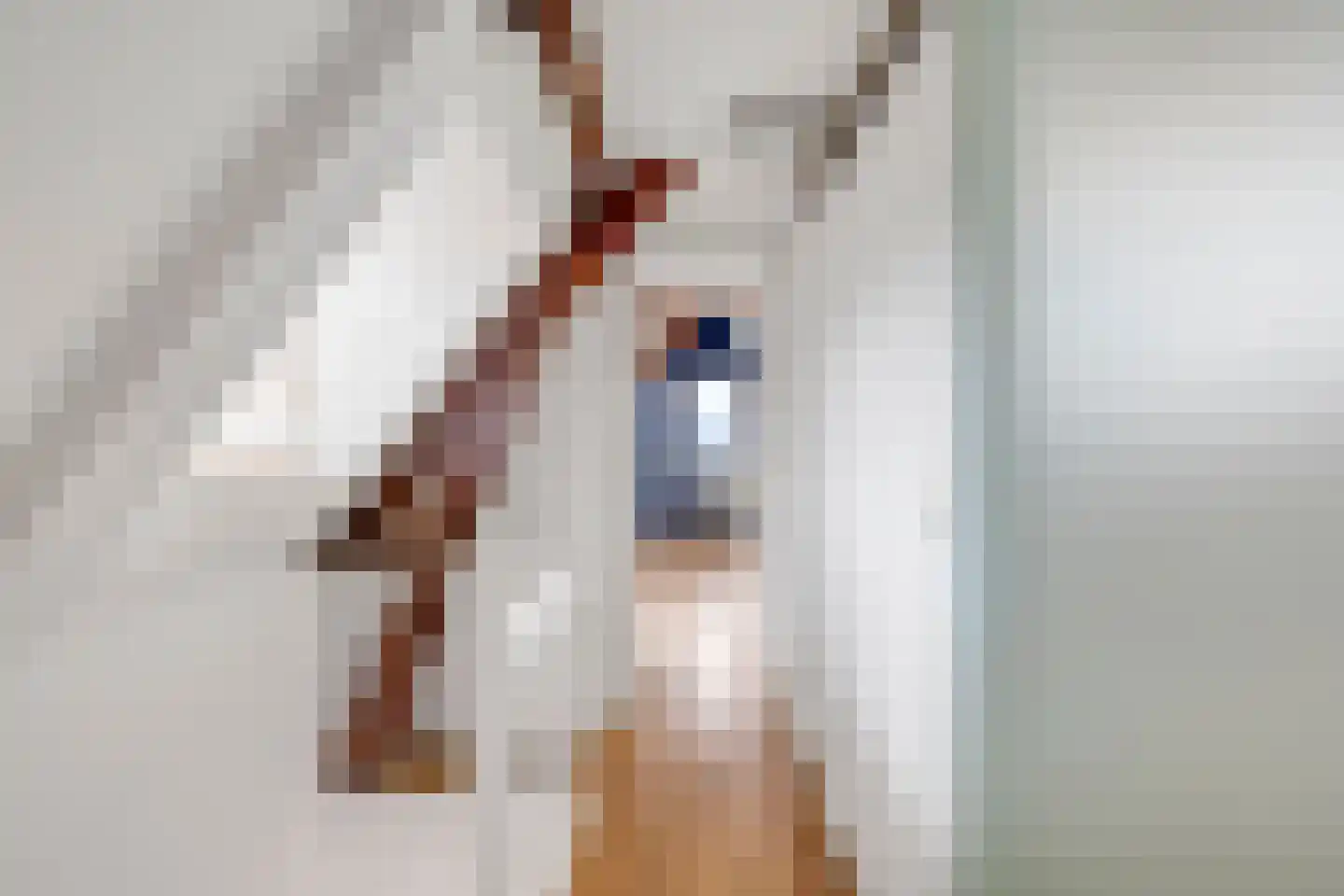 Nieuwstraat 23 A Schiedam thumbnail 25