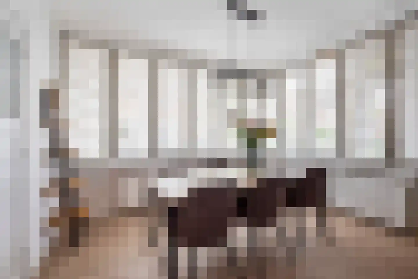 Nieuwstraat 23 Alphen aan den Rijn thumbnail 11