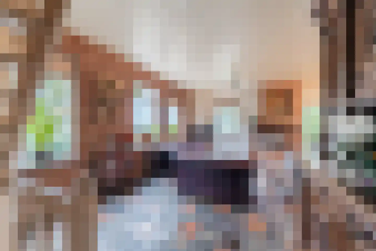 Nieuwstraat 23 Alteveer thumbnail 14