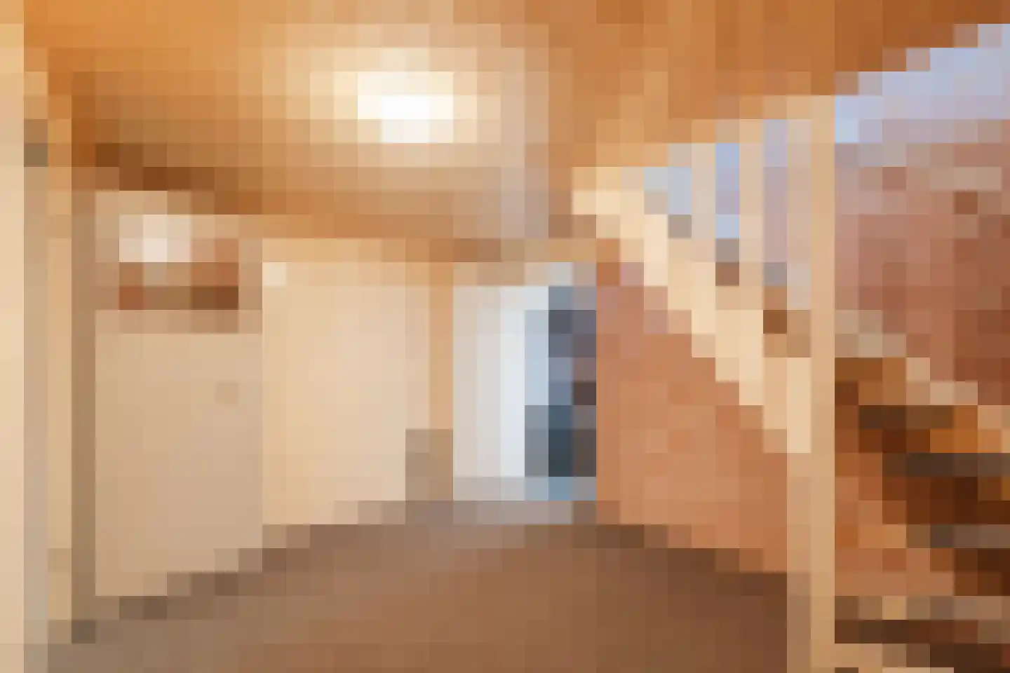 Nieuwstraat 23 Alteveer thumbnail 19