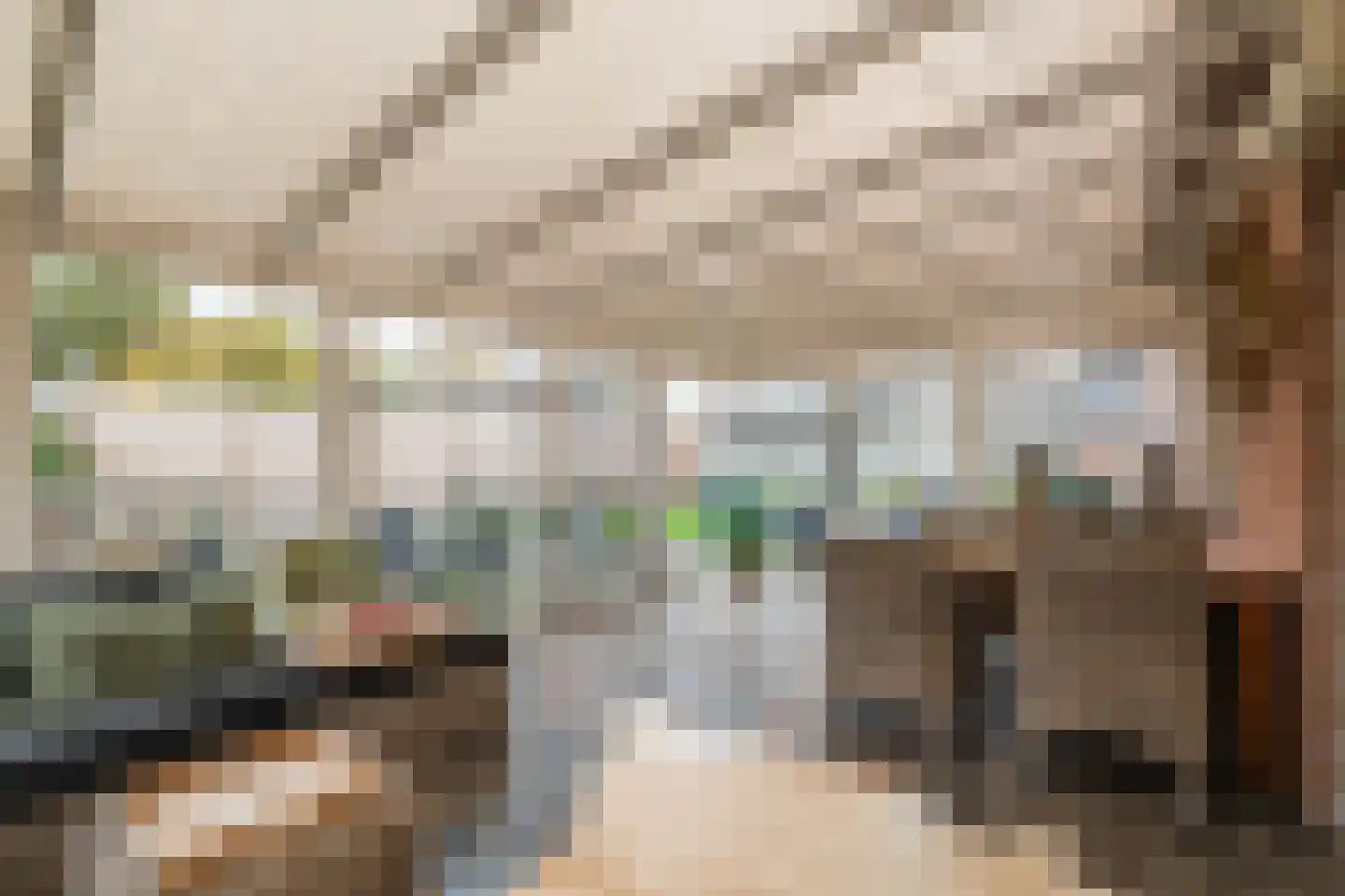 Nieuwstraat 23 Alteveer thumbnail 38