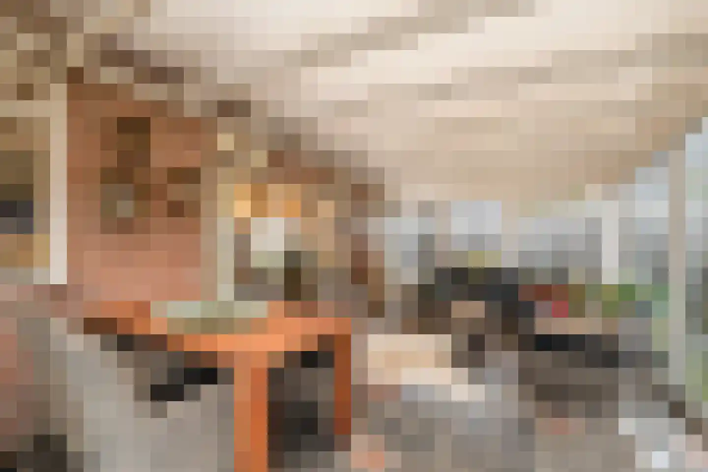 Nieuwstraat 23 Alteveer thumbnail 39