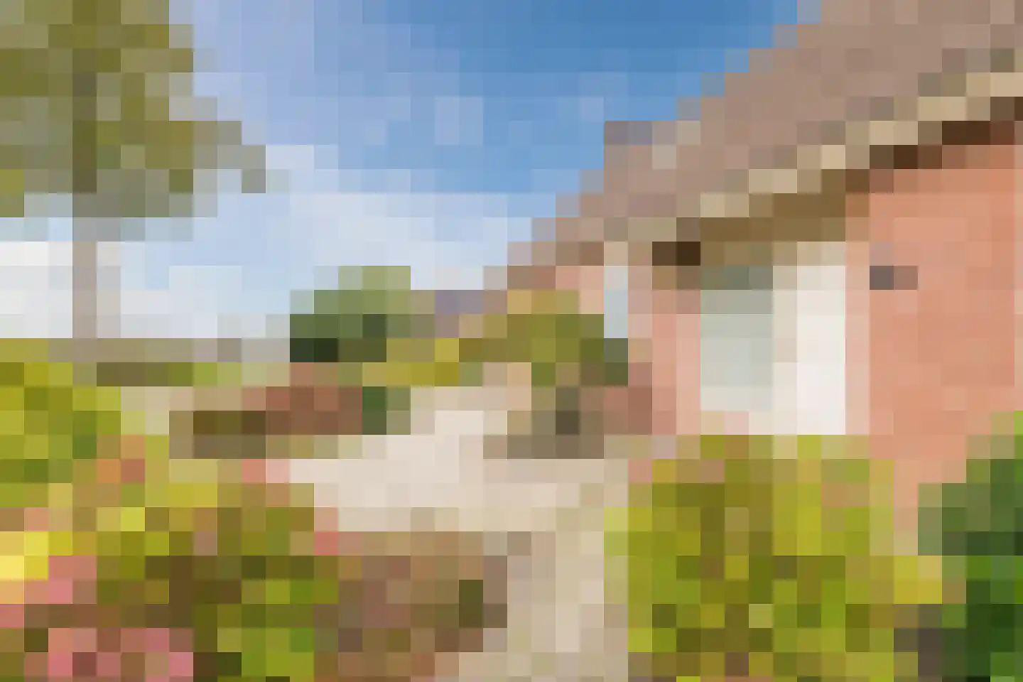 Nieuwstraat 23 Alteveer thumbnail 8
