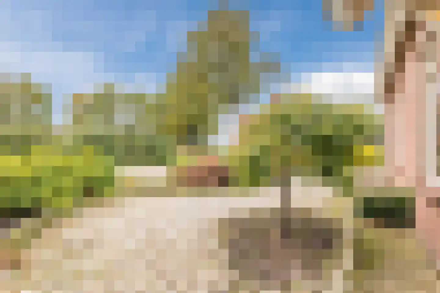 Nieuwstraat 23 Alteveer thumbnail 9