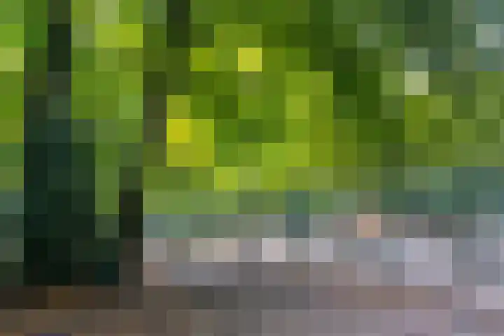 Nieuwstraat 23 B Baarn thumbnail 34