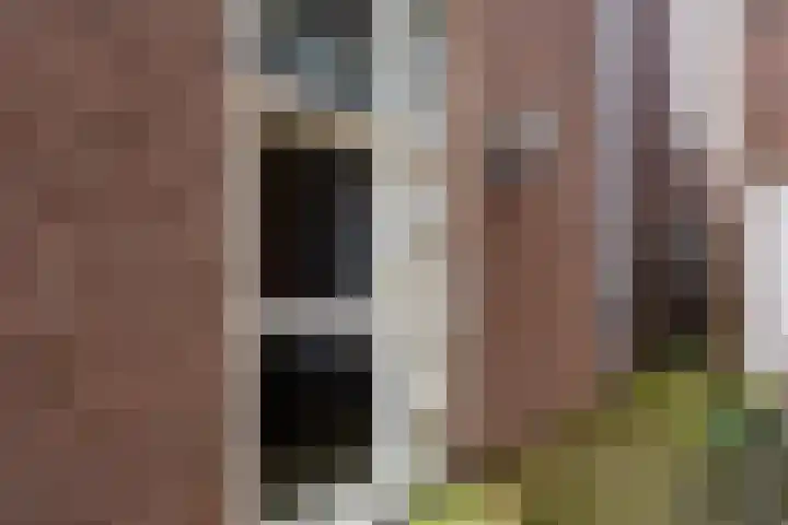 Nieuwstraat 23 B Baarn thumbnail 5