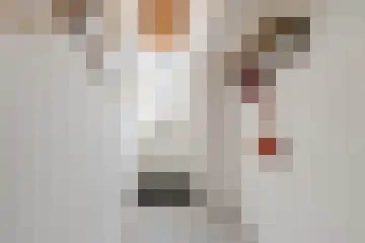 Nieuwstraat 23 Bodegraven thumbnail 9