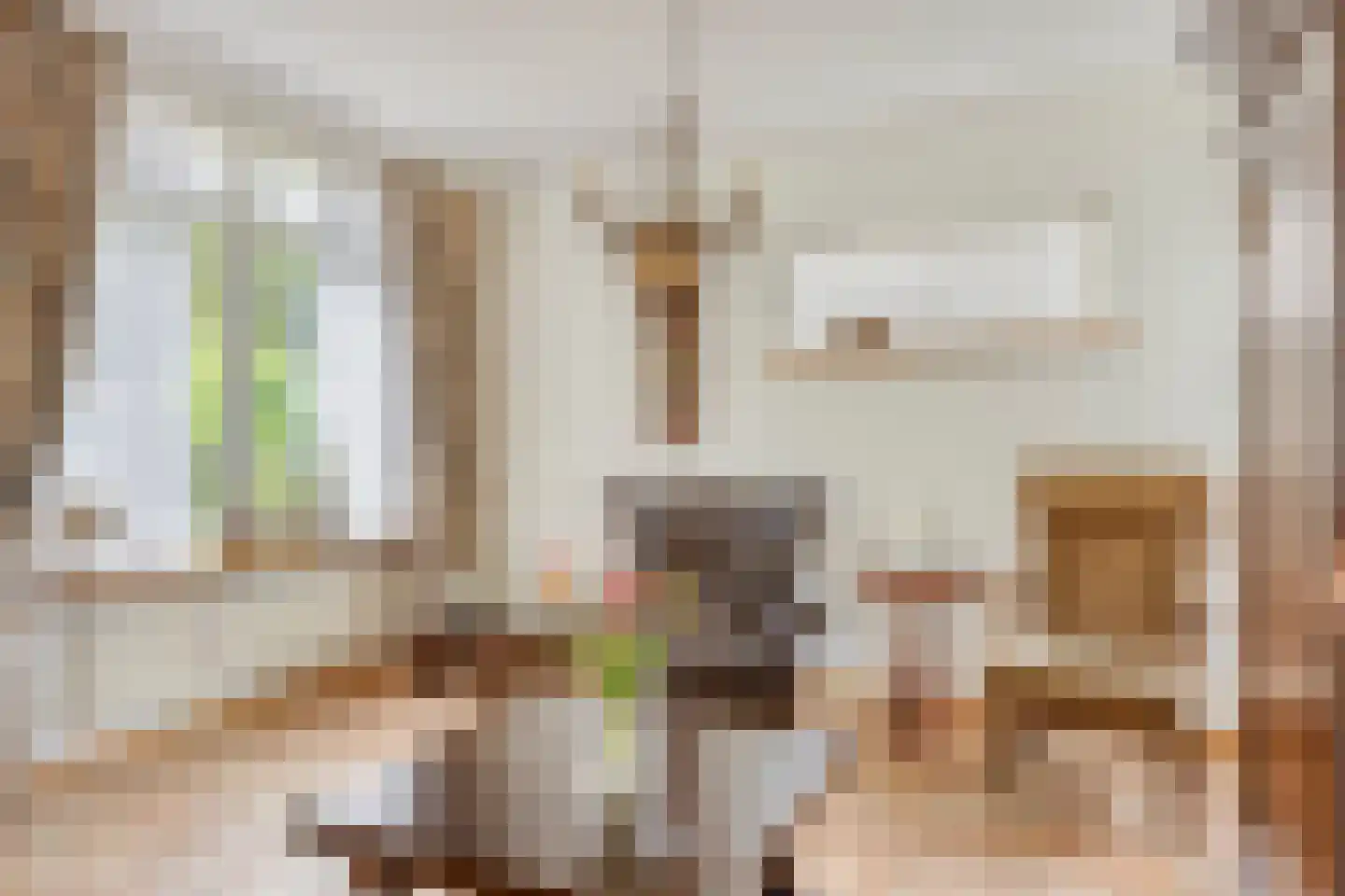 Nieuwstraat 23 Dreumel thumbnail 12