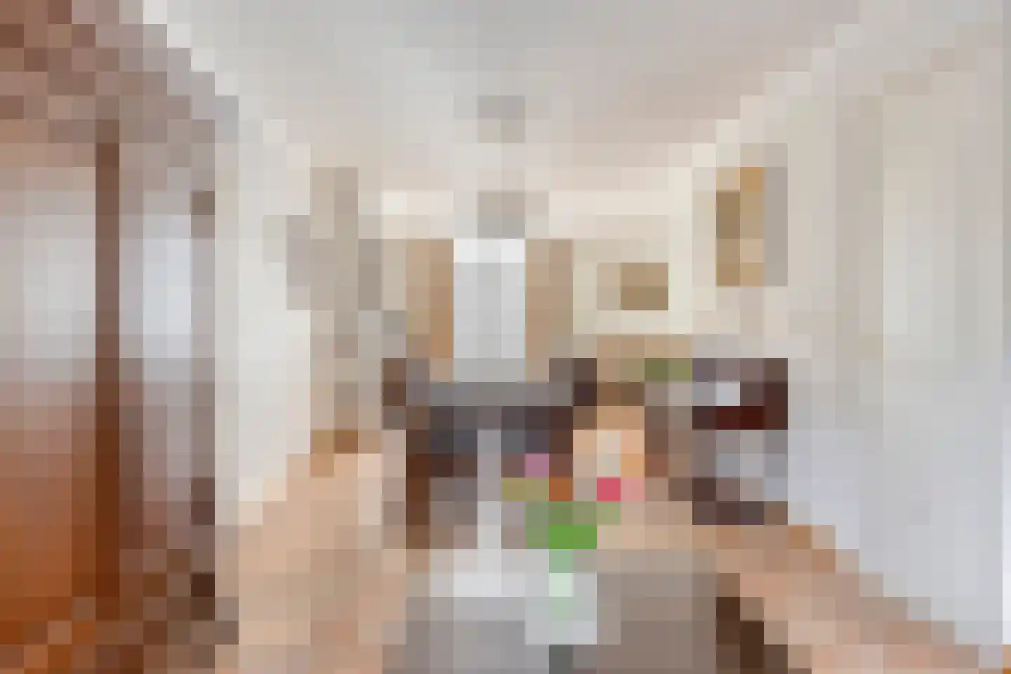 Nieuwstraat 23 Dreumel thumbnail 13