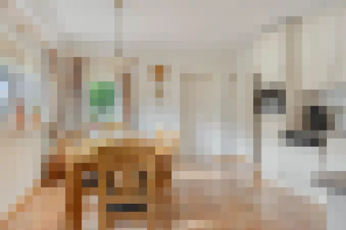 Nieuwstraat 23 Dreumel thumbnail 17