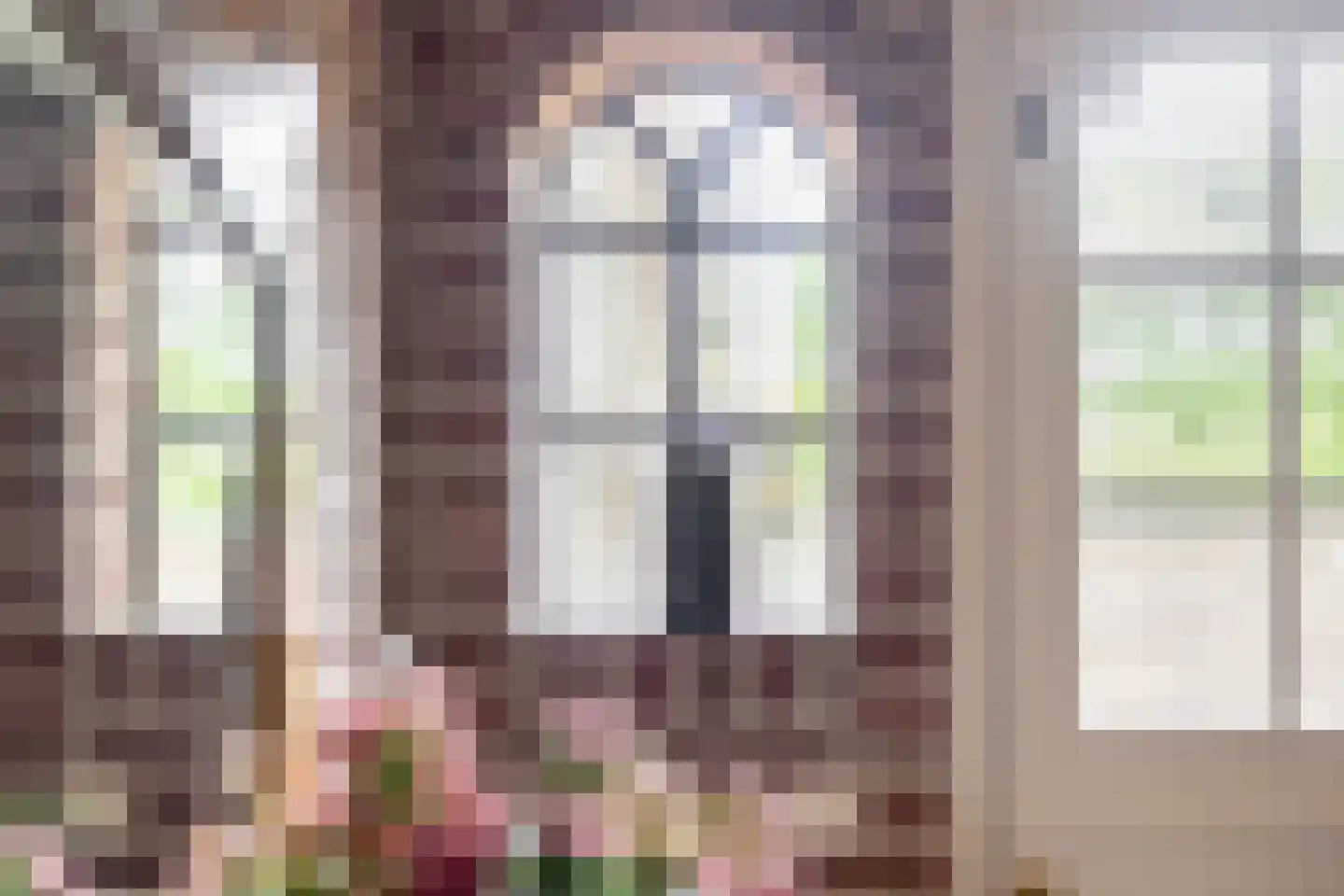 Nieuwstraat 23 Dreumel thumbnail 20
