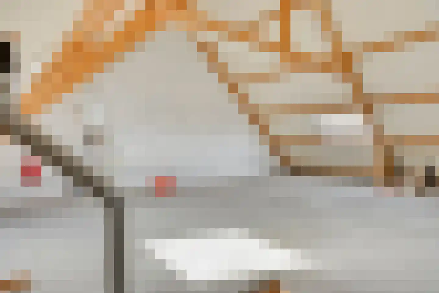 Nieuwstraat 23 Dreumel thumbnail 33