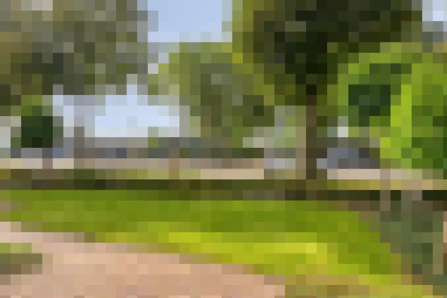 Nieuwstraat 23 Dreumel thumbnail 37