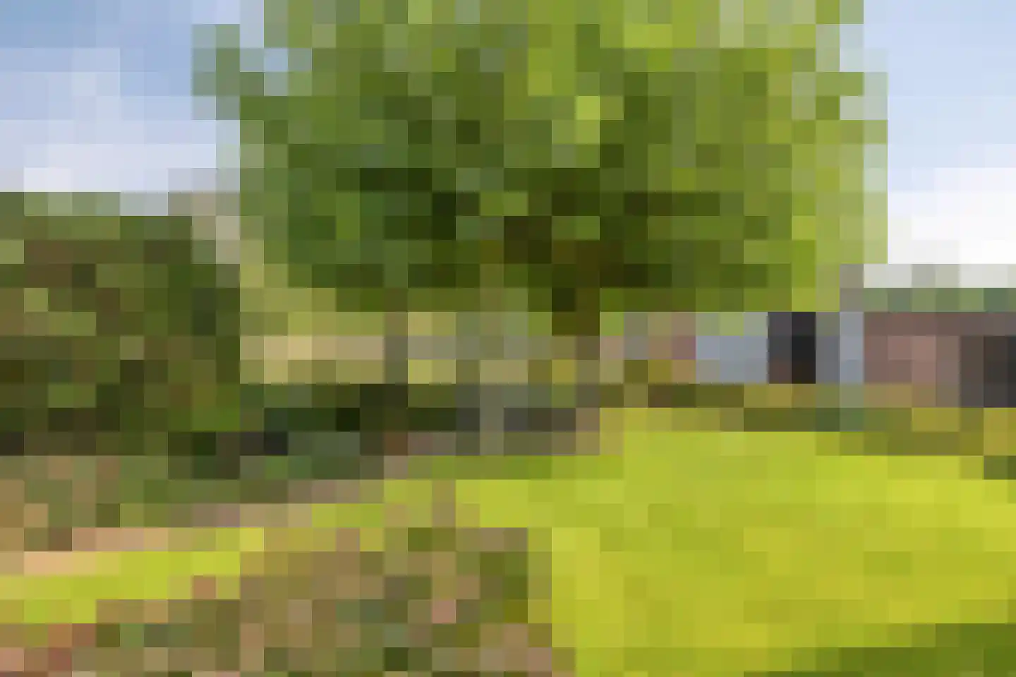 Nieuwstraat 23 Dreumel thumbnail 39