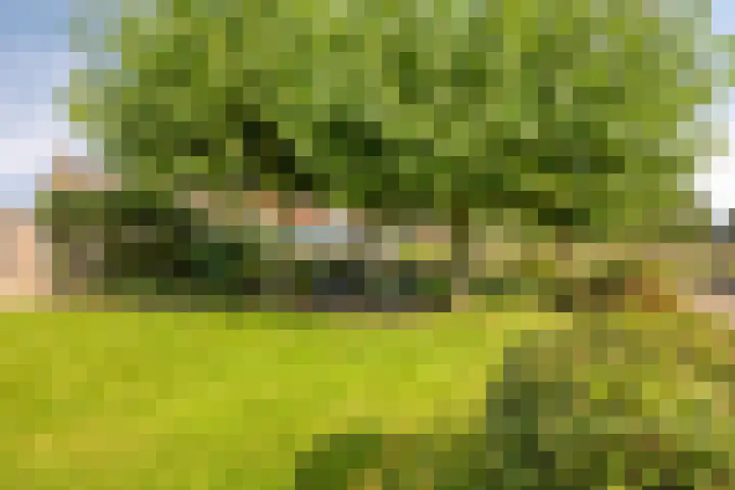 Nieuwstraat 23 Dreumel thumbnail 42