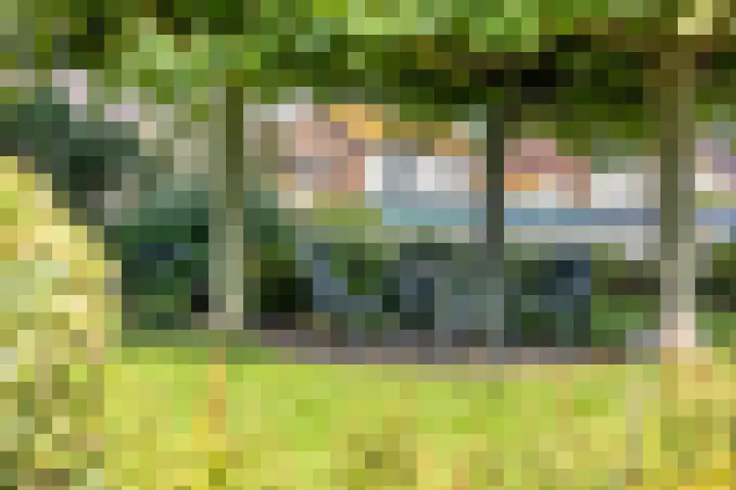 Nieuwstraat 23 Dreumel thumbnail 43