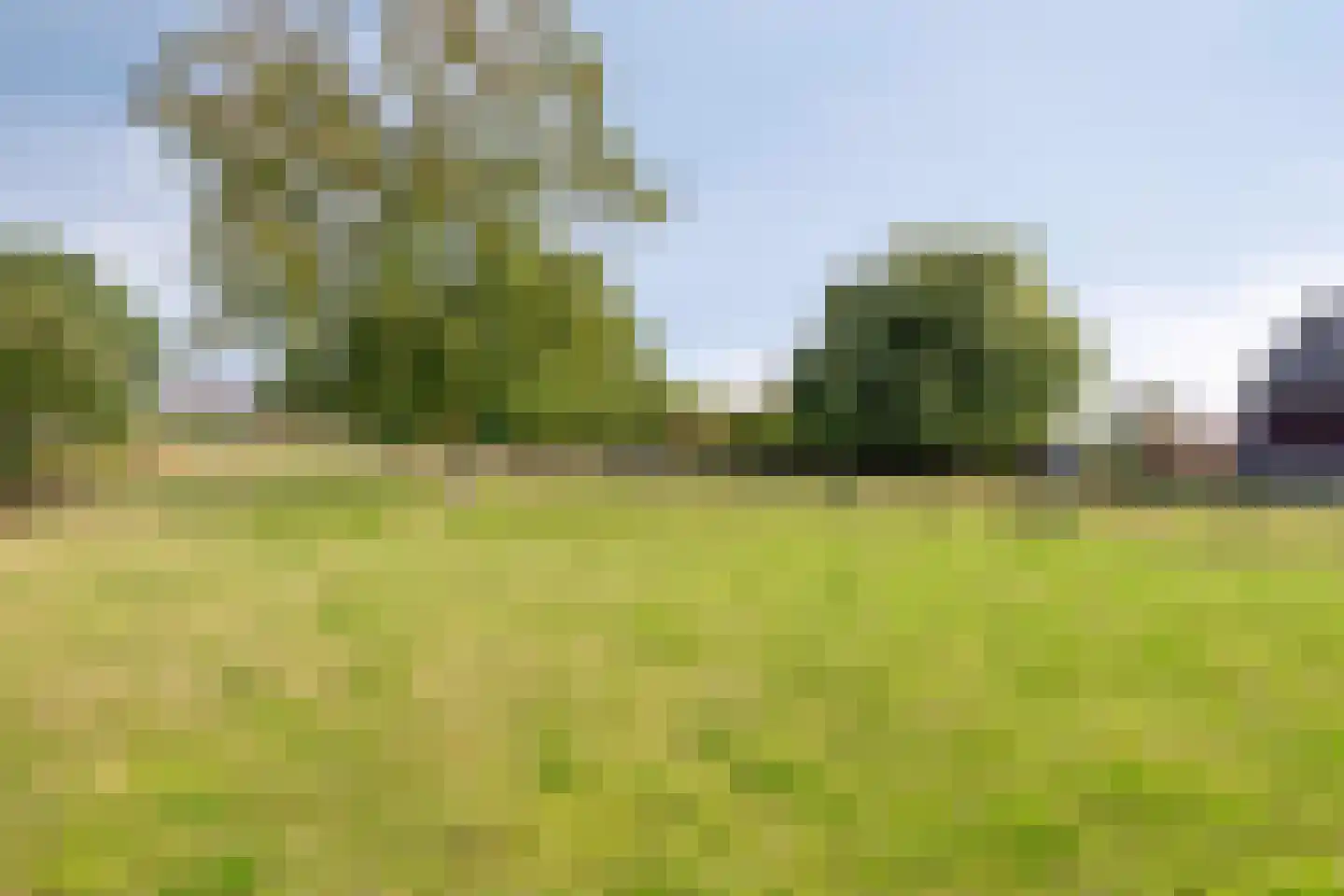 Nieuwstraat 23 Dreumel thumbnail 46