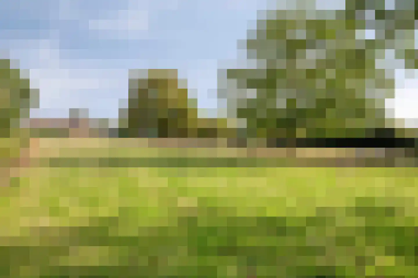 Nieuwstraat 23 Dreumel thumbnail 47