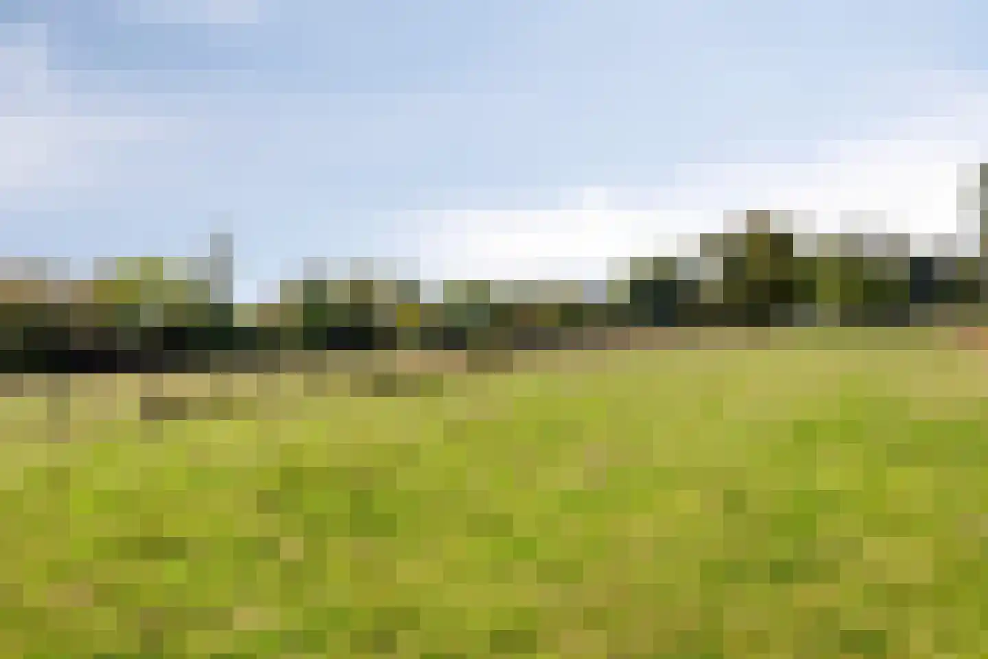 Nieuwstraat 23 Dreumel thumbnail 49