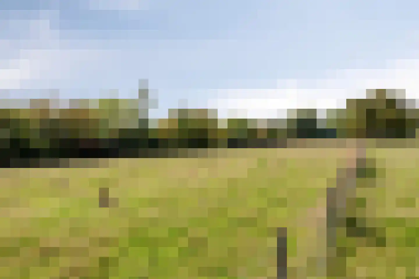 Nieuwstraat 23 Dreumel thumbnail 50