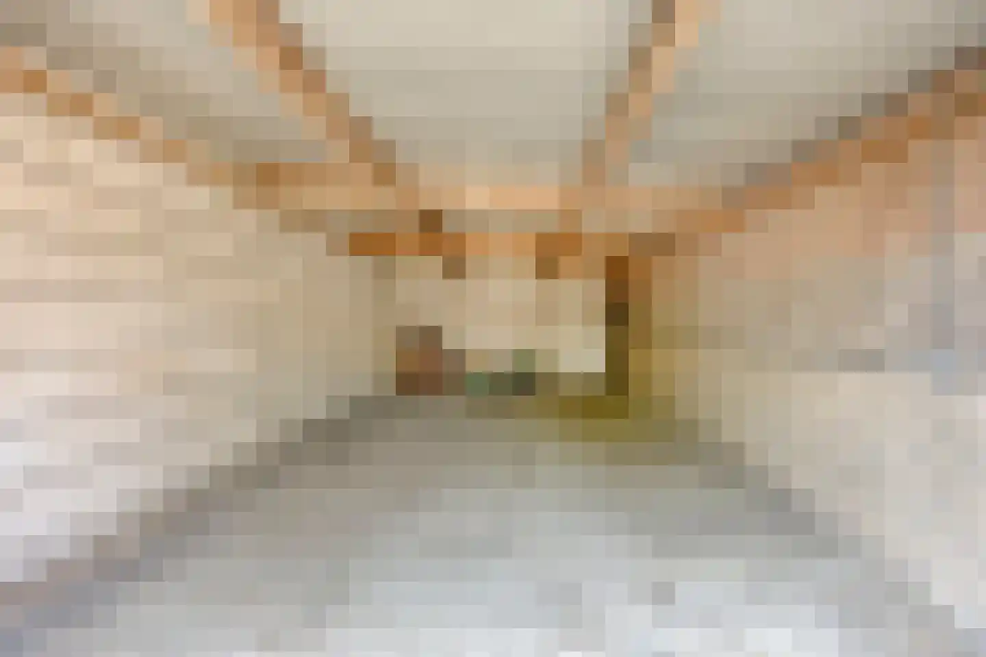 Nieuwstraat 23 Dreumel thumbnail 52