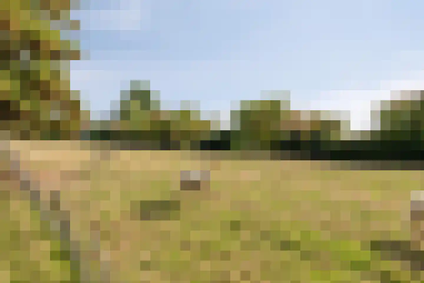 Nieuwstraat 23 Dreumel thumbnail 6