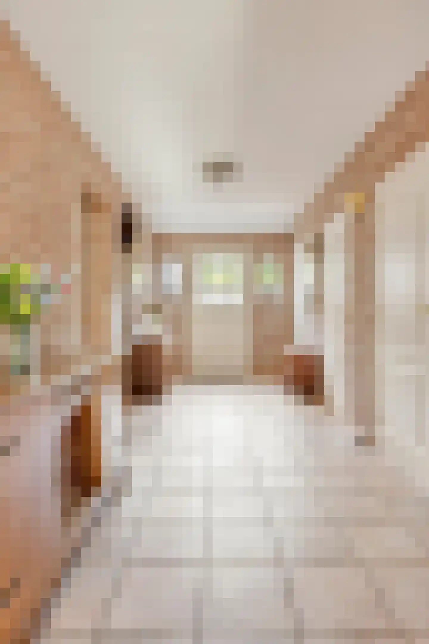 Nieuwstraat 23 Dreumel thumbnail 8