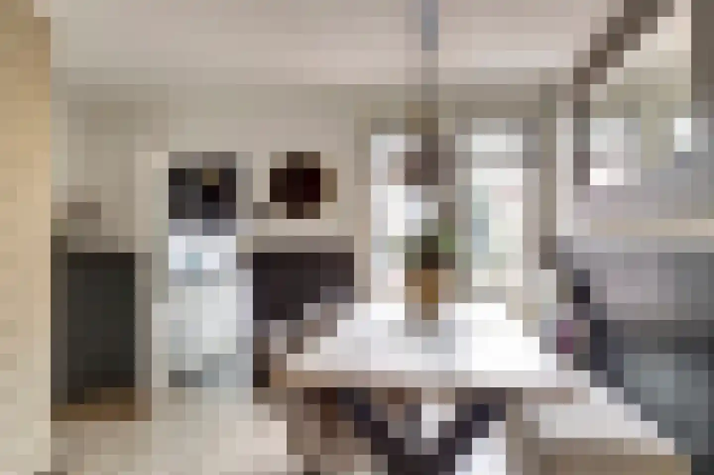 Nieuwstraat 23 Leerdam thumbnail 7