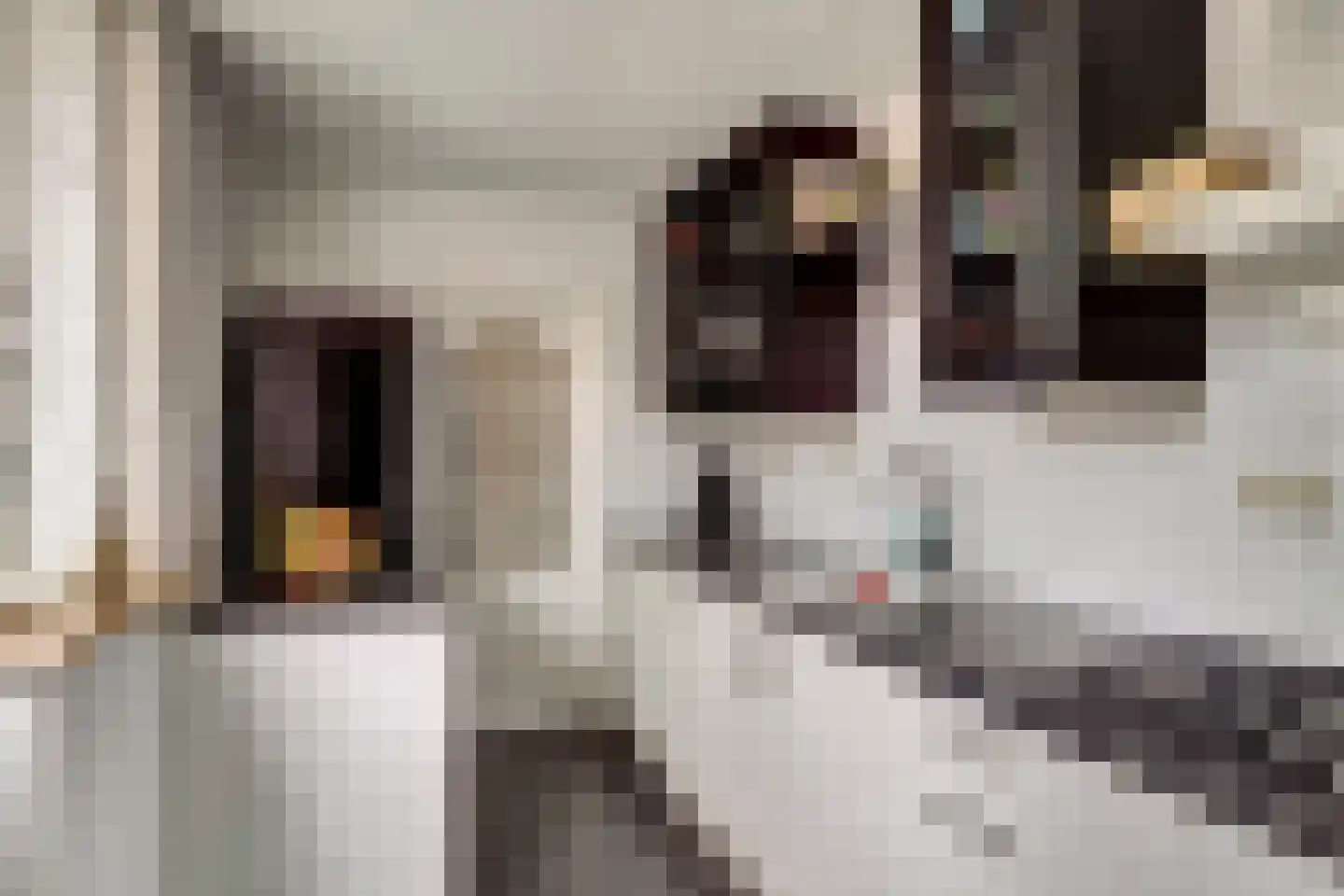 Nieuwstraat 23 Leerdam thumbnail 9