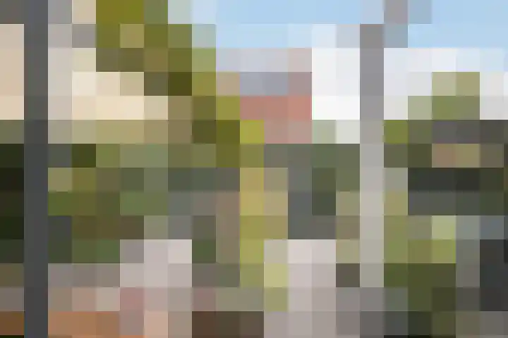 Nieuwstraat 23 Sint-Annaland thumbnail 5