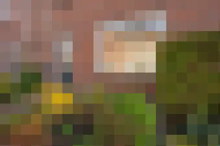Nieuwstraat 23 Zegveld thumbnail 31