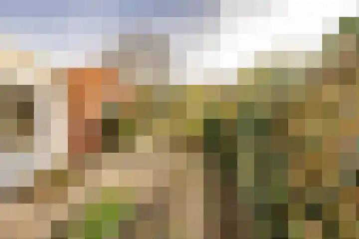Nieuwstraat 23 Zegveld thumbnail 4