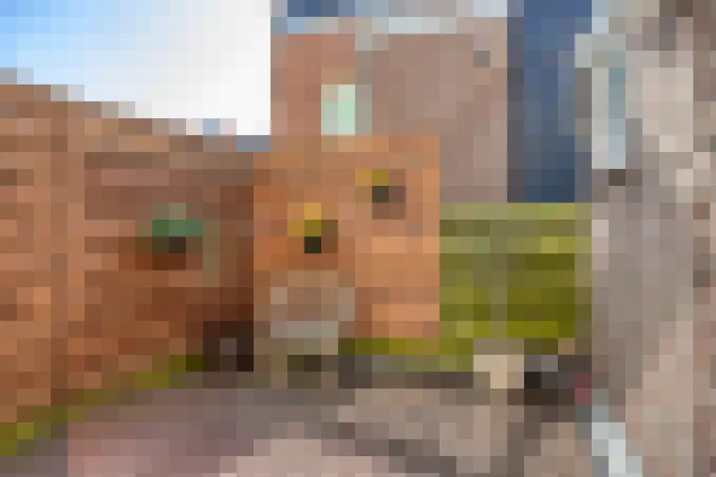 Nieuwstraat 24 A Maassluis thumbnail 26