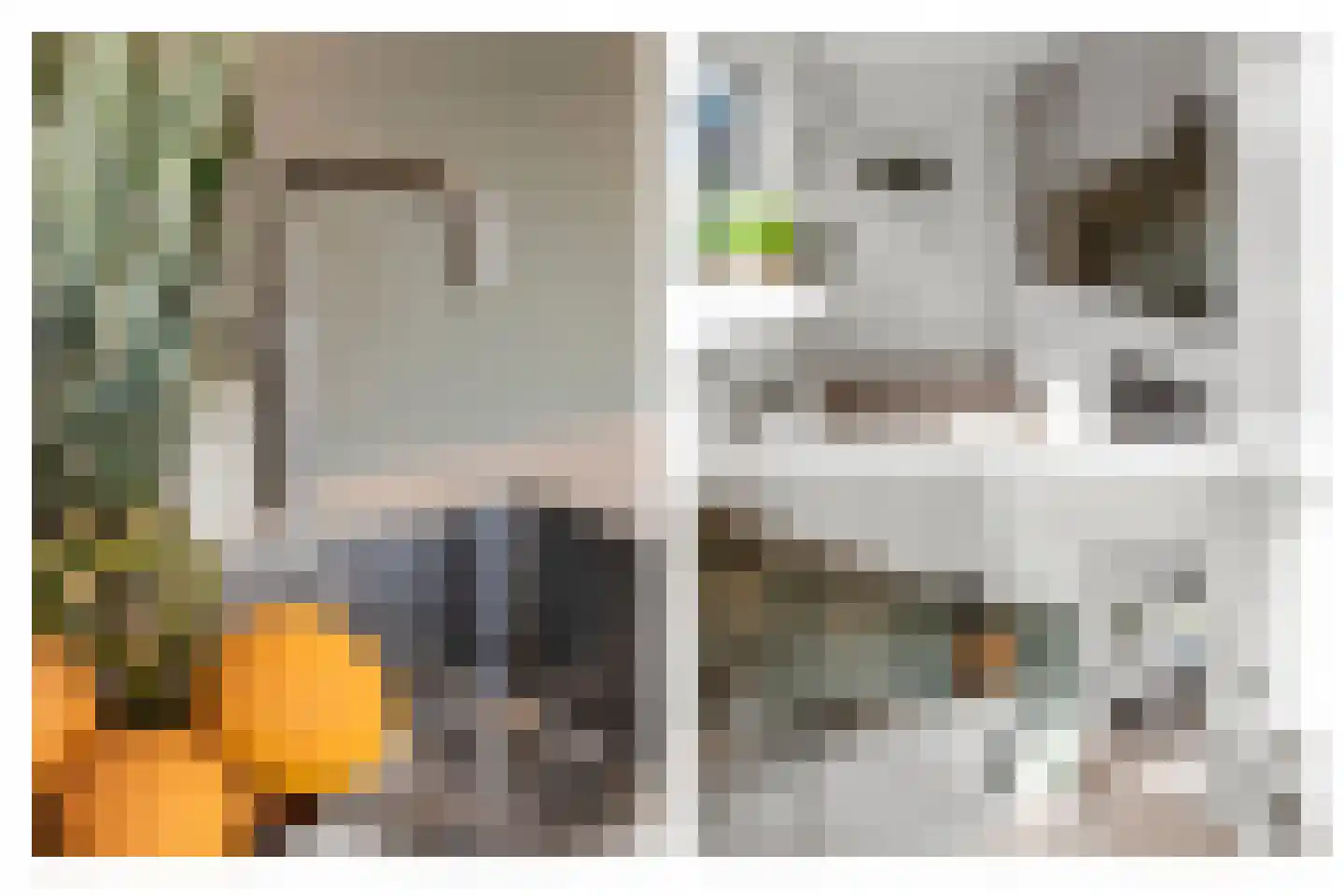 Nieuwstraat 24 Alphen aan den Rijn thumbnail 10