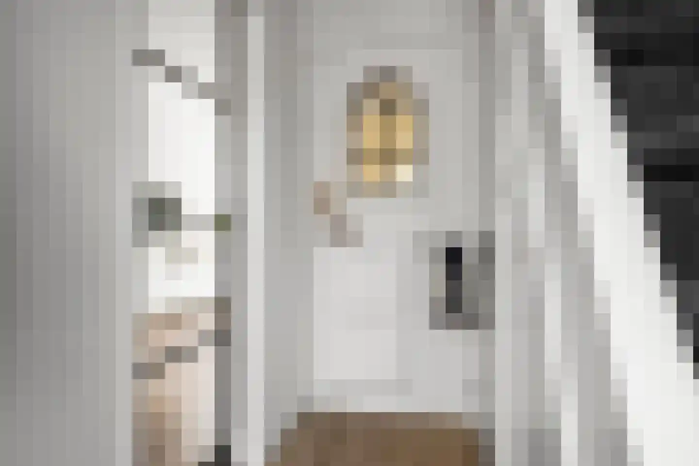 Nieuwstraat 24 Alphen aan den Rijn thumbnail 4